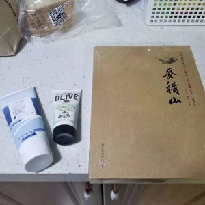 麦积山画册